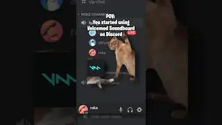 POV You started using Voicemod Soundboard on Discord 