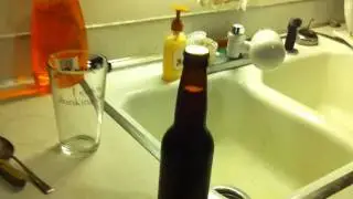 Dry Hop in the Bottle Experiment