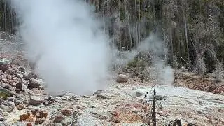 Yellowstone Geiser
