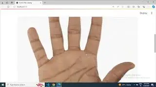 AI Palm reading using GEMINI and streamlit App