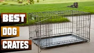 Best Dog Crate In 2025 - Top 10 Dog Crates Review