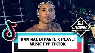 DJ IKAN NAE DI PANTE X PLANET MUSIC FYP TIKTOK - DJ DABEL (NIKKO STYLE) ☢️🔥