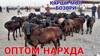 КАРШИ МОЛ БОЗОРИ НАРХЛАРИ! 9 ИЮЛЬ  2023 QARSHI MOL BOZORI NARXLARI