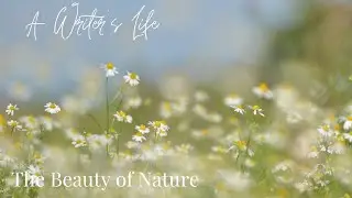 The Beauty of Nature - Slow Living Writer - A Writer's Life ~ A Cozy Writing Vlog