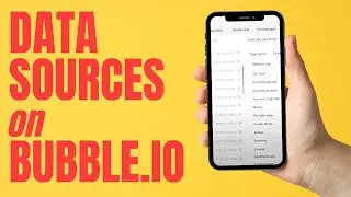 A Beginner's Guide to Data Sources in Bubble.io