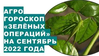 Agrohoroscope of 