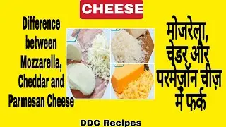 Difference between Mozzarella, Cheddar and Parmesan Cheese | Basic Difference #cheese | DDC Recipes