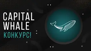 Capital Whale | Обзор обновления проекта | Конкурс!