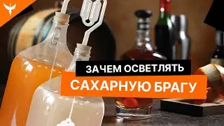 Осветление сахарной браги. Зачем это нужно?