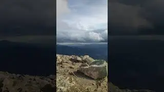 г. хомяк