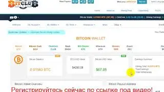 Bitclub Network Доходы И Отзывы - Bitclub Network Отзывы, Доходы И Чеки 2017 1