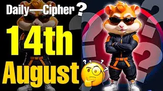 14 August Daily Cipher—Code for 1 m Coins Today | Hamster Kombat Daily Cipher 14 August Daily Cipher