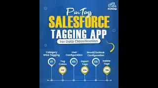 Introducing PinTags - #1 Salesforce Tagging App For All Your Data Classification Needs