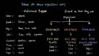 What do other organisms eat? | Odia Class 6 | Science| Khan Academy