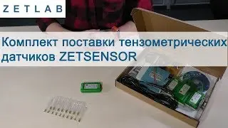 Комплект поставки тензометрических датчиков ZETLAB