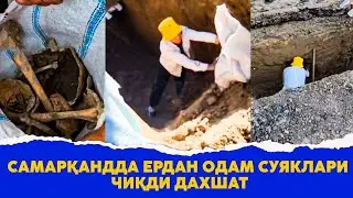 Самаркандда одам суяклари чикди