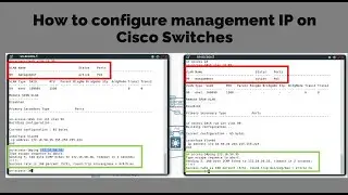 How to configure management IP on Cisco Switches