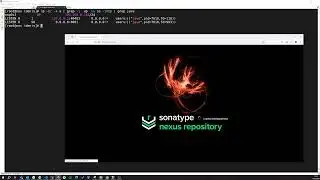 Как установить Sonatype Nexus Repository Manager | Nexus 3 в Oracle Linux 9.3