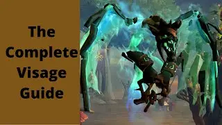 Everything You Need to Know About Visage (Guide to Visage Pos 2, 3 & 4)
