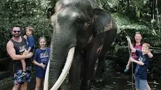 Mason Elephant Safari Park Bali Tour - October 2022