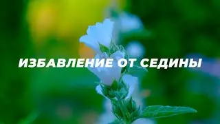 Избавление от седины. Омоложение волос. НОВЫЙ саблиминал. Скрытые аффирмации.