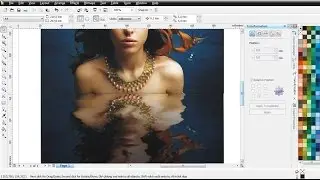 Cara Membuat Efek Bayangan Air Pada Foto di CorelDRAW | Belajar CorelDRAW