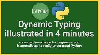 Python's Dynamic Typing Illustrated in 4 minutes: essential knowledge for writing bug-free code