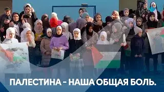 Палестина - наша общая боль.