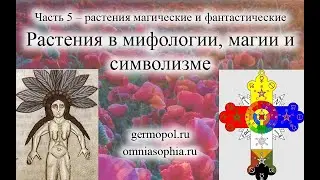 Растения. Часть 5 – растения магические и фантастические.