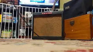Flot a tone thrift store find