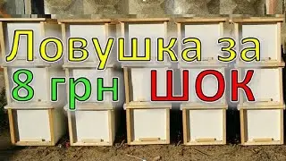 Ловушка для роя за 8 грн. Делаю с...