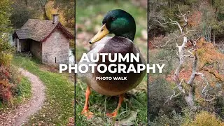 Autumn Photo Walk in the Cotswolds: Nikon D750