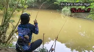 Sungai baru saja surut !! Sekali mancing baung babon langsung panen