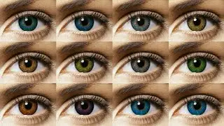 Freshlook Colorblends All 12 Colors Contact Lens Review