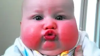 Cutest Baby Viral Video is Melting Your Heart - Chubby Baby Videos II Cool Peachy