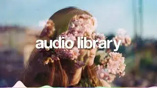 No Copyright Music Endless Summer   extenz Full HD 60fps