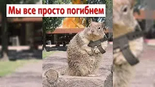 #84. Непарный шелкопряд. Нашествие