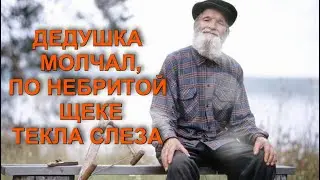 ДЕДУШКА молчал, по небритой щеке ТЕКЛА СЛЕЗА...