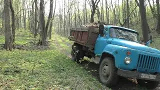 Мечта дровосека! Валежник!