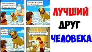 Лютые приколы. ЛУЧШИЙ ДРУГ ЧЕЛОВЕКА. угарные мемы