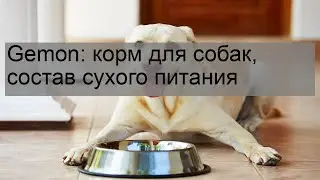 Gemon: корм для собак, состав сухого питания