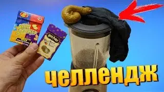 ЧЕЛЛЕНДЖ ! ЕМ ВОНЮЧИЕ НОСКИ, СМЕШАЛ В БЛЕНДЕРЕ КОНФЕТЫ ГАРРИ ПОТЕРА !