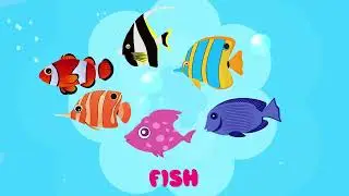 Learn Sea Animals & Water Animals for Kids