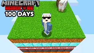I Survived 100 Days with RANDOM Layer One Chunk