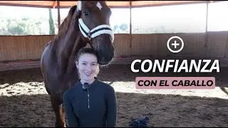 Reforzar la conexión con tu caballo