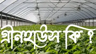 গ্রীনহাউস কি? What is a greenhouse?Grinhaus Ki