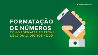 Formatar Números de Telefone com 10 ou 11 Dígitos incluindo o DDD (Domine o Excel)