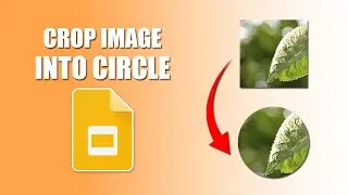 How to crop an image into a circle google slides