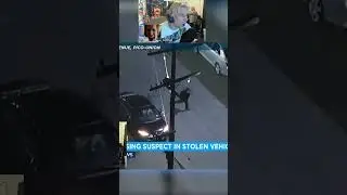 xQc watches NPC Criminal trying to escape #shorts