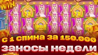 ПОЙМАЛ БОНУСОВ НА МИЛЛИОН В DOG HOUSE MEGAWAYS И ПОЙМАЛ ЛИНИЮ СОБАК ЗАНОСЫ НЕДЕЛИ